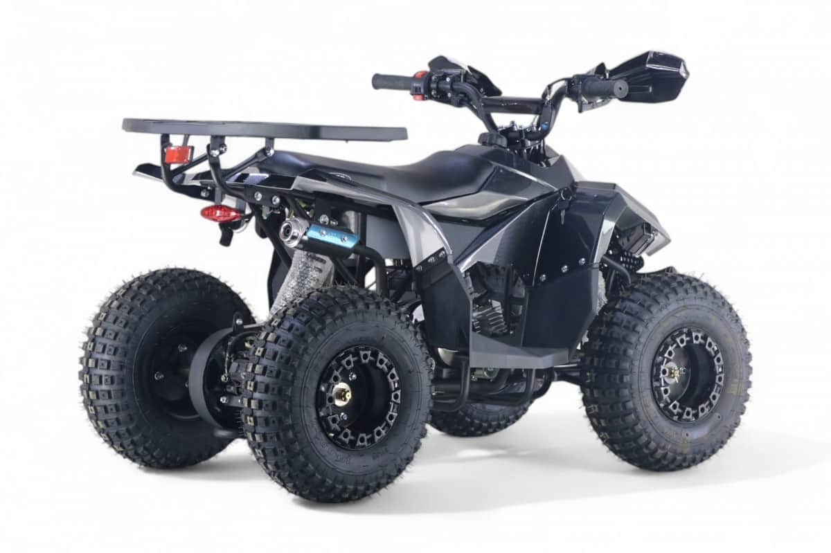 картинка Детский квадроцикл LEON 49CC карбон 