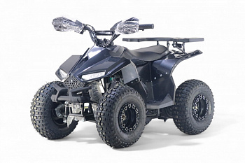 картинка Детский квадроцикл LEON 49CC карбон 